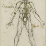 Tavole Anatomiche