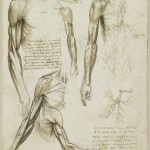 Tavole Anatomiche