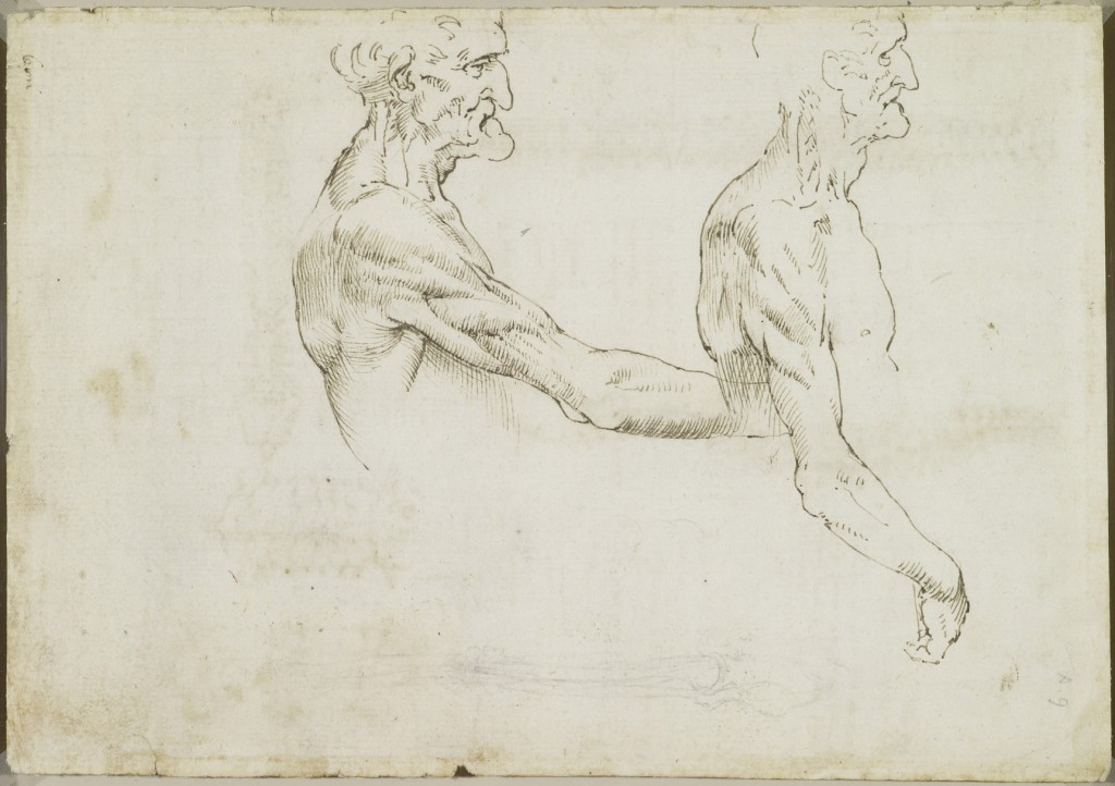 Tavole anatomiche – Anatomia della colonna vertebrale – Modellianatomici.it