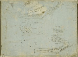 Scheletro e nervi del braccio, Leonardo da Vinci
