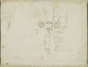 Tavole anatomiche Leonardo, anatomia della gamba