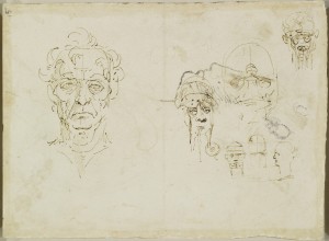 tavole anatomiche, gli strati del cuoio capelluto, Leonardo da Vinci